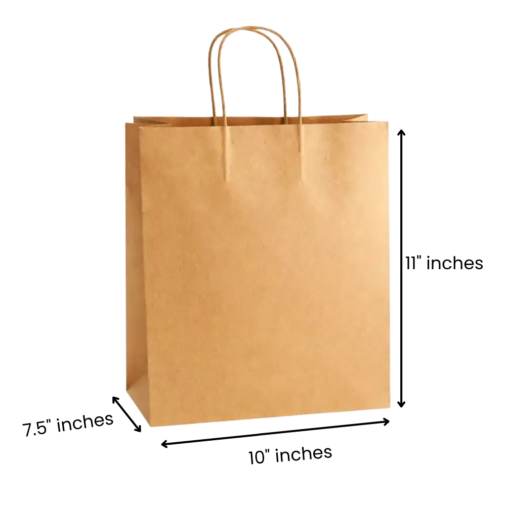 10x7.5x11 Inches Eco Pack Paper Bag With Twisted Handle