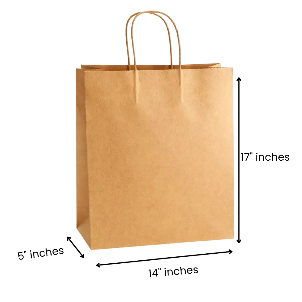 14x5x17 Inches Eco Pack Paper Bag With Twisted Handle