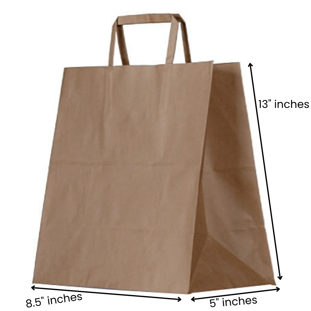 8.5x5x13 Inches Eco Pack Paper Bag With Flat Handle